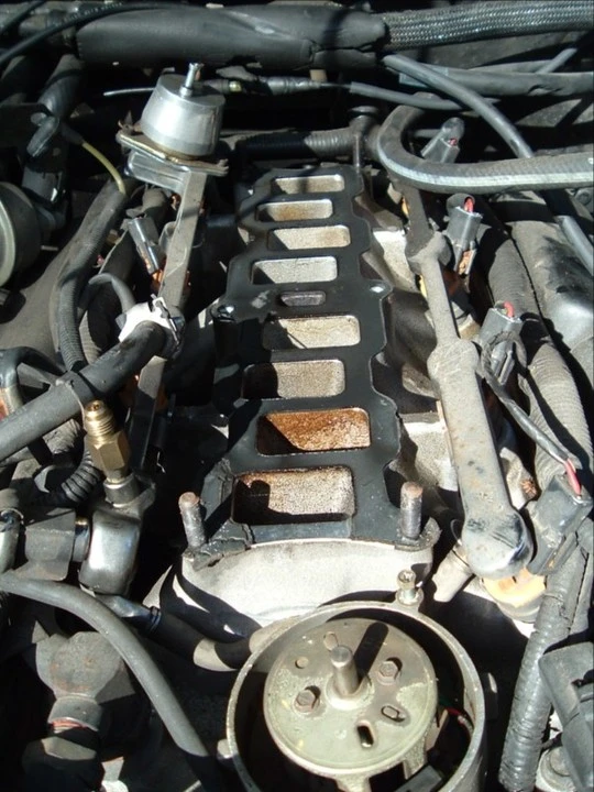 dscf0857.webp
