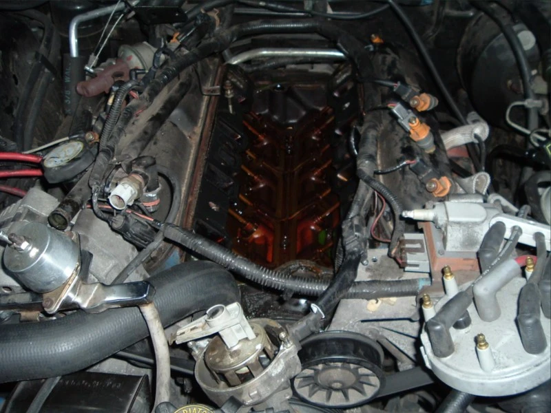 dscf0862.webp