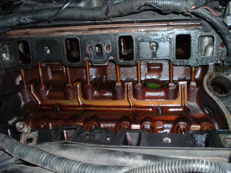 dscf0864.webp
