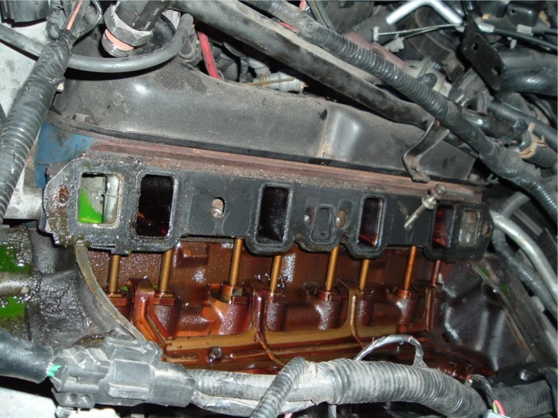 dscf0865.webp