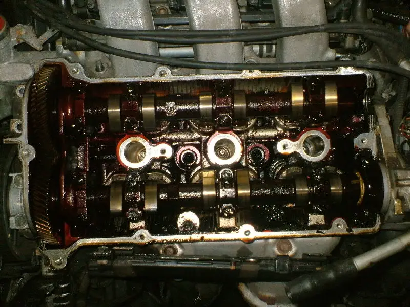 DSCF0871.webp