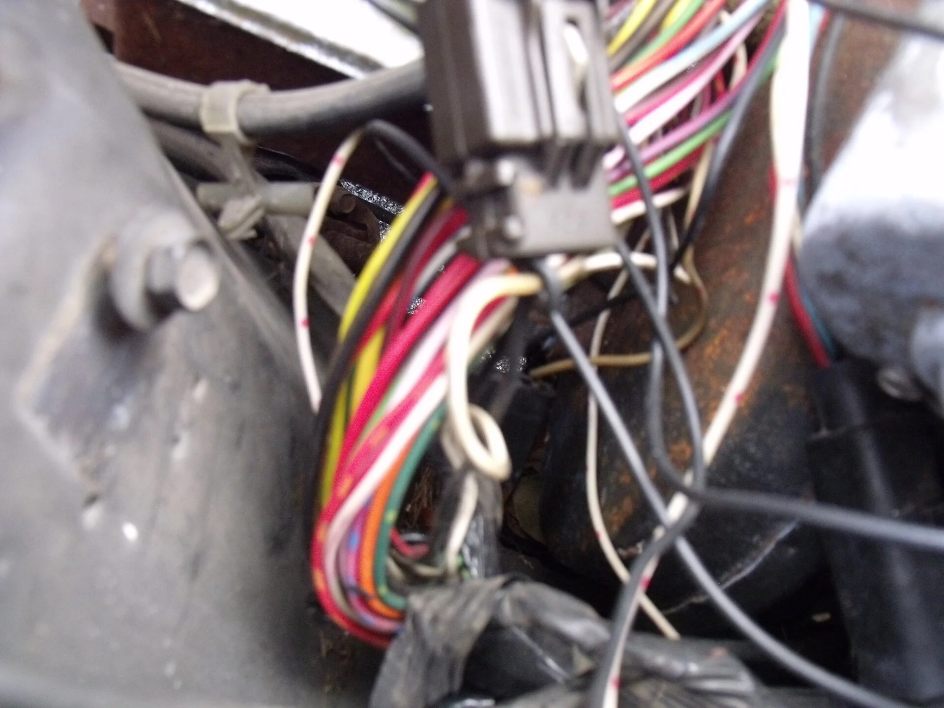 DSCF0888.webp