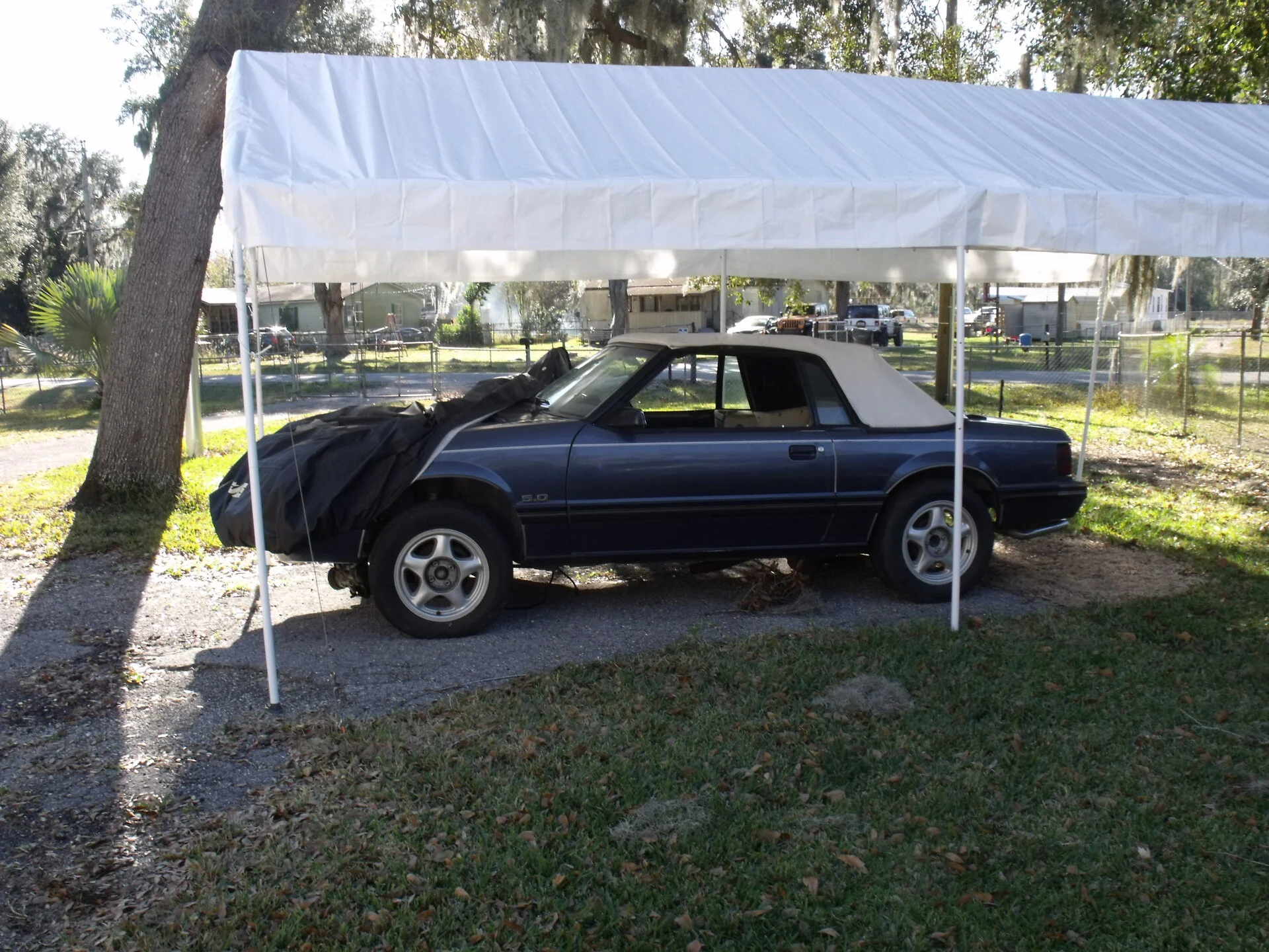 DSCF0894.webp