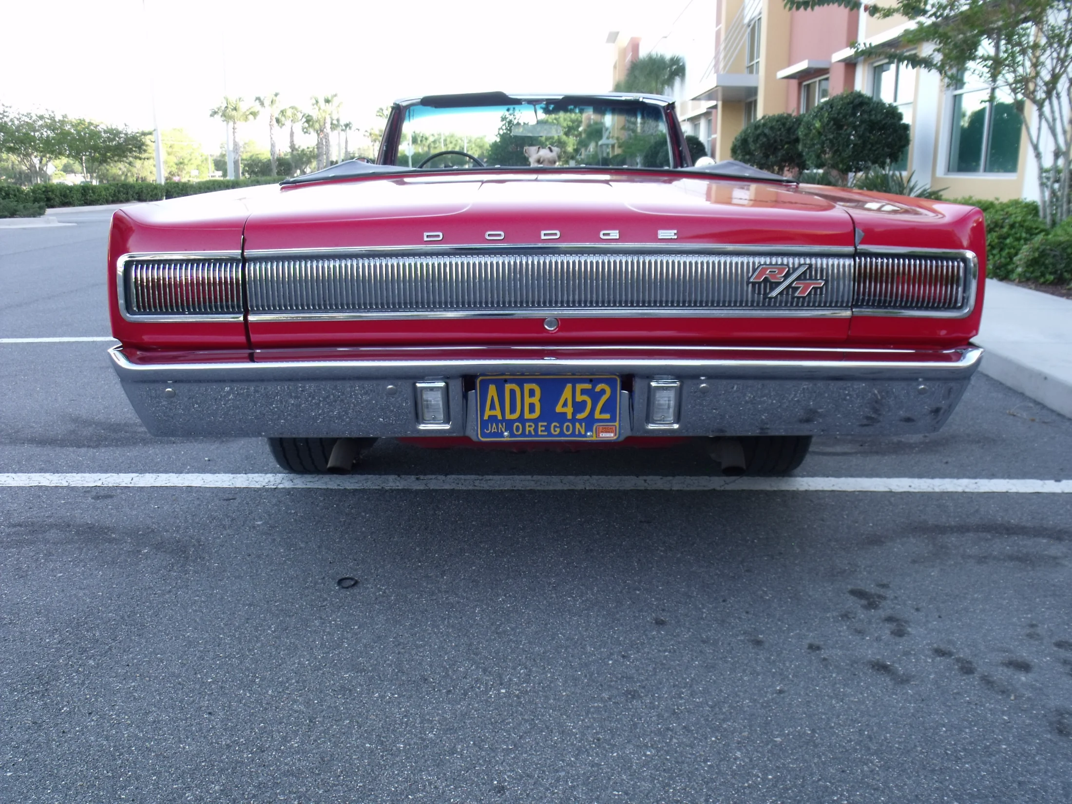 DSCF0941.webp