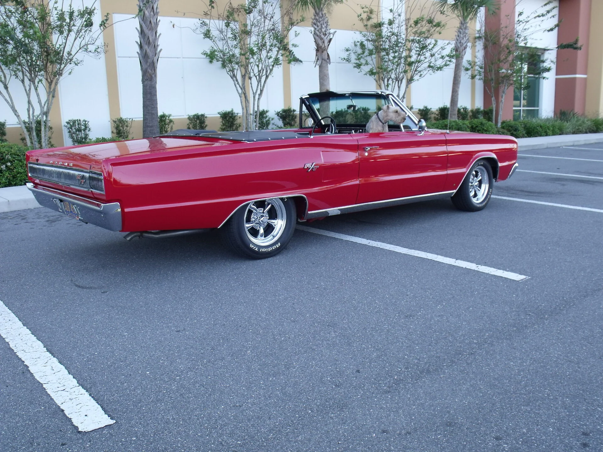 DSCF0944.webp