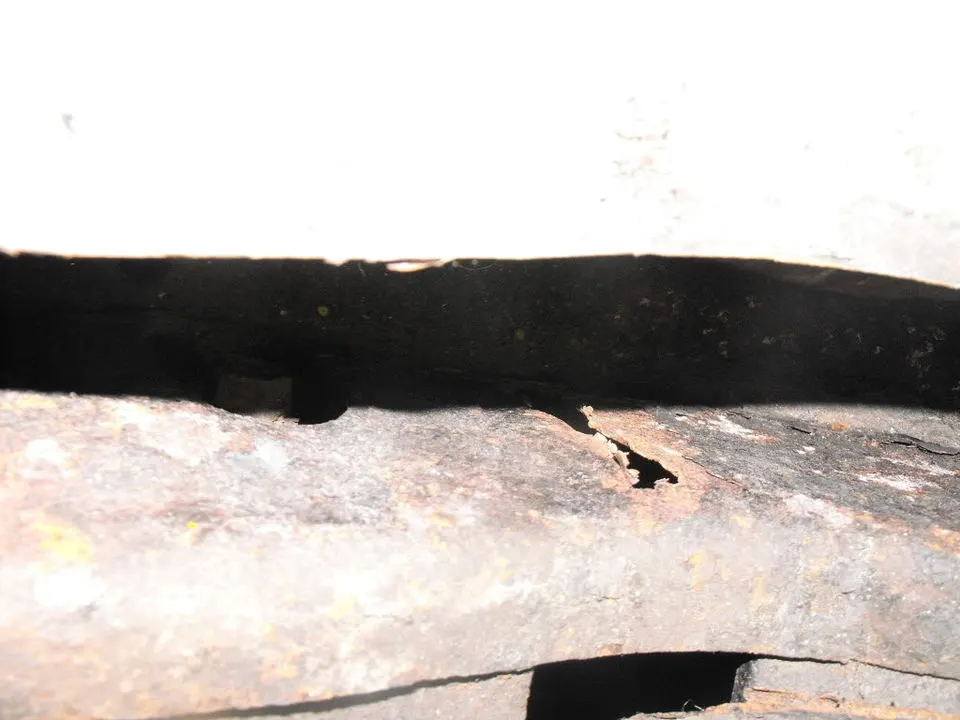DSCF0958.webp
