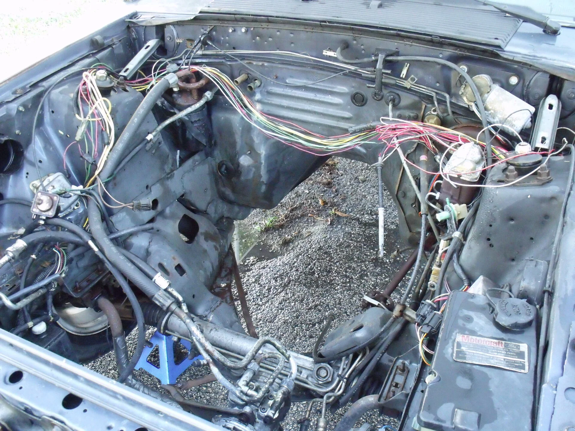 DSCF0979.webp