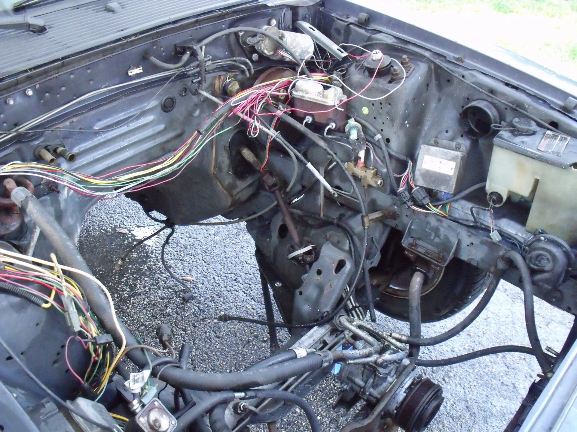 DSCF0980.webp