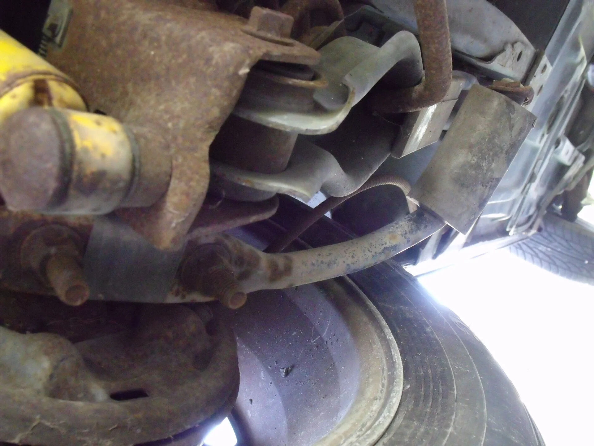 DSCF0986.webp