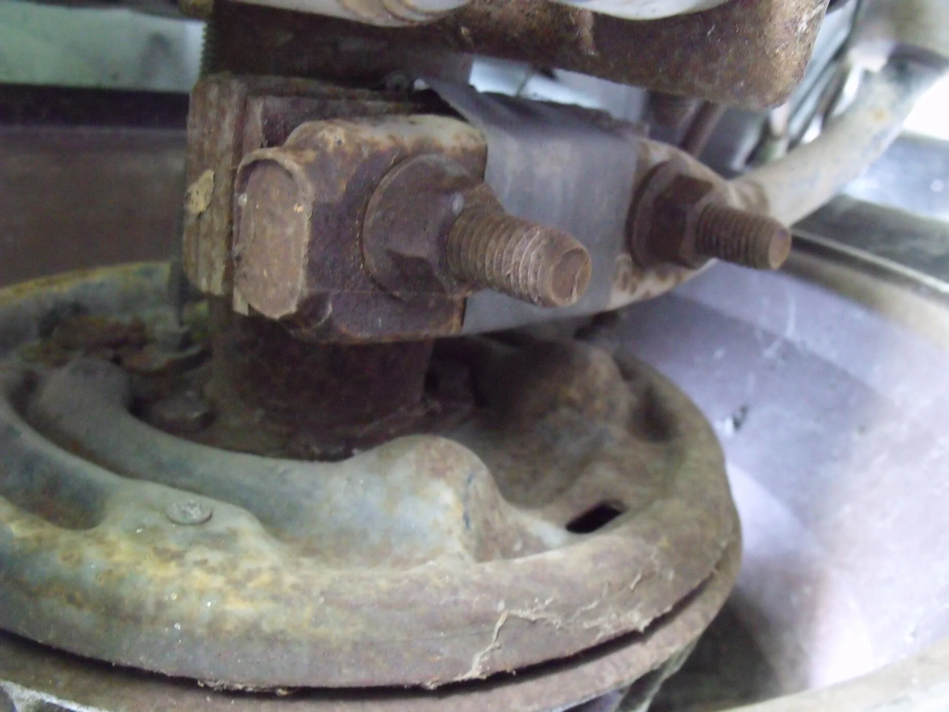 DSCF0987.webp