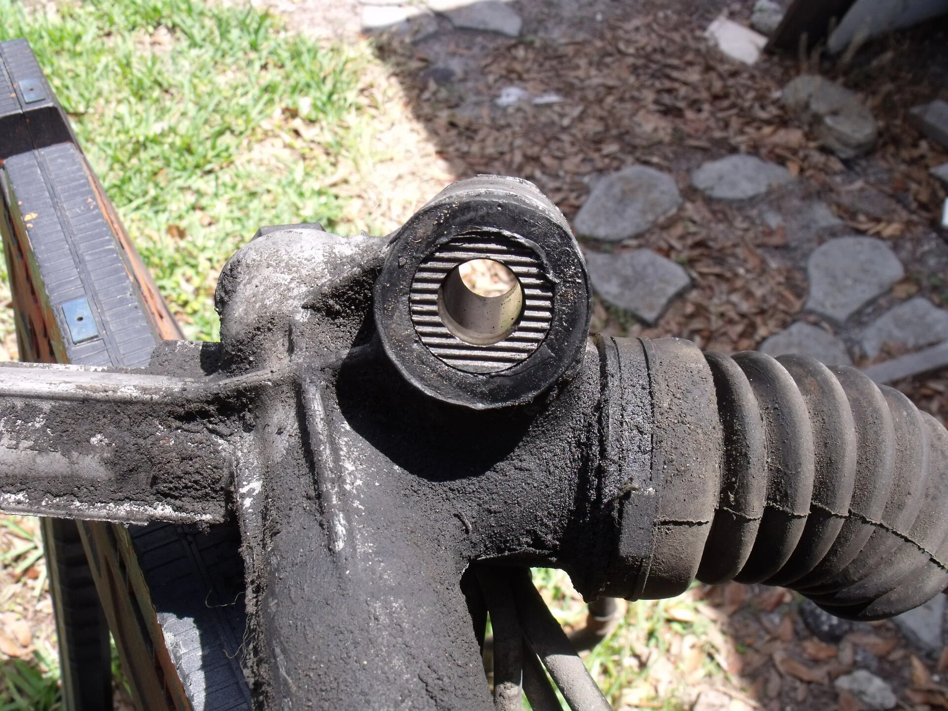 DSCF1006.JPG
