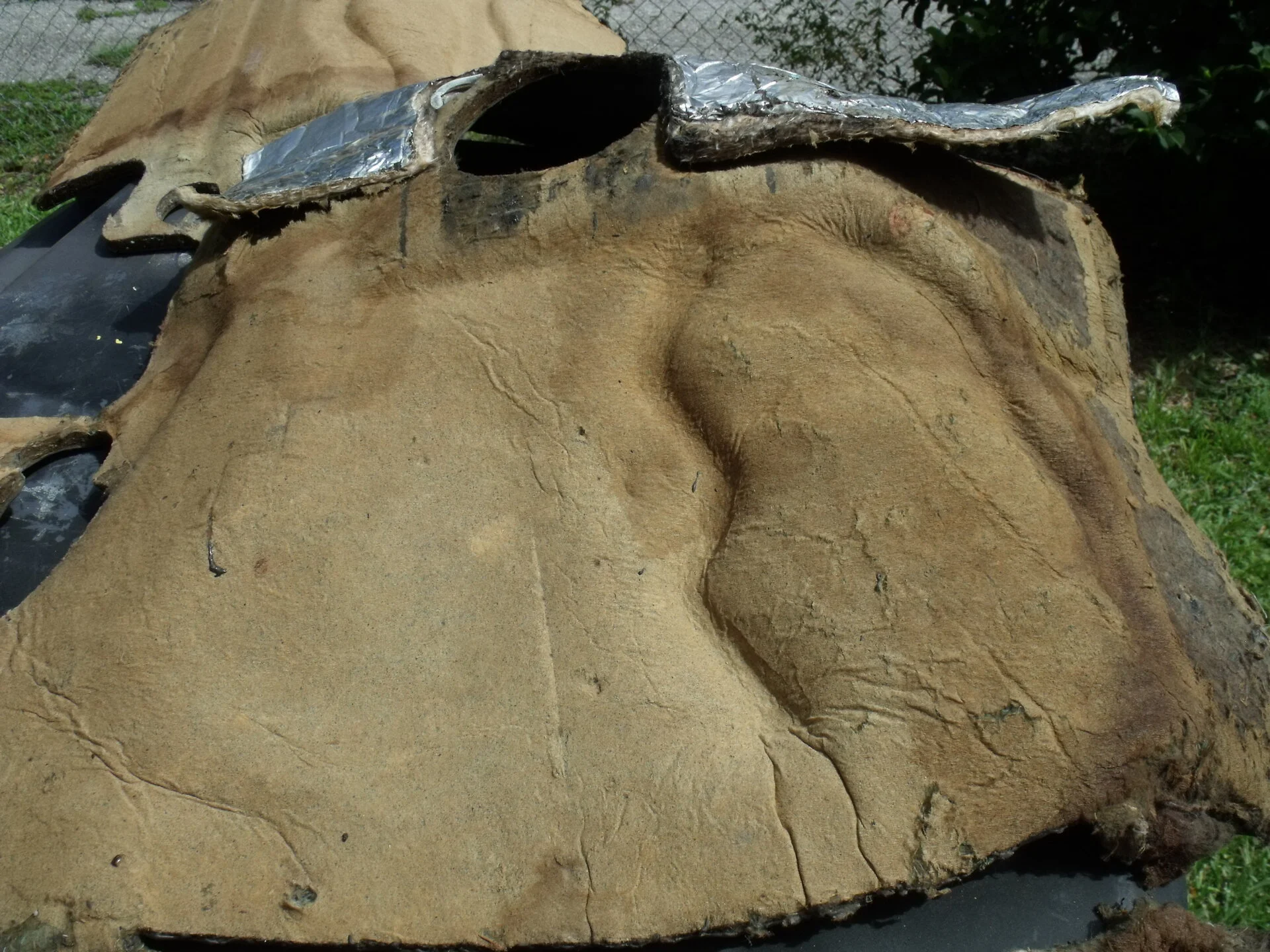 DSCF1069.JPG