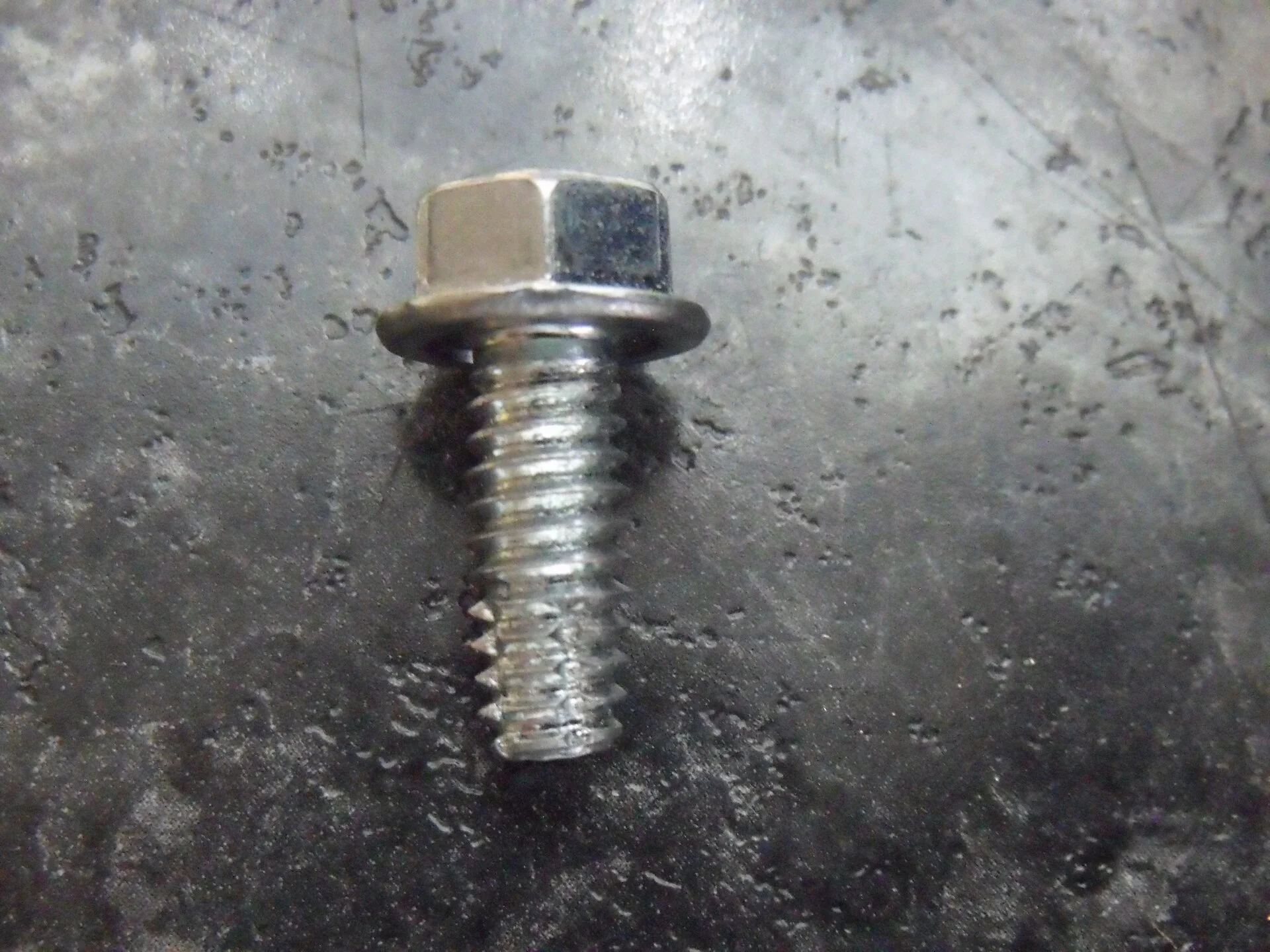 DSCF1089.JPG