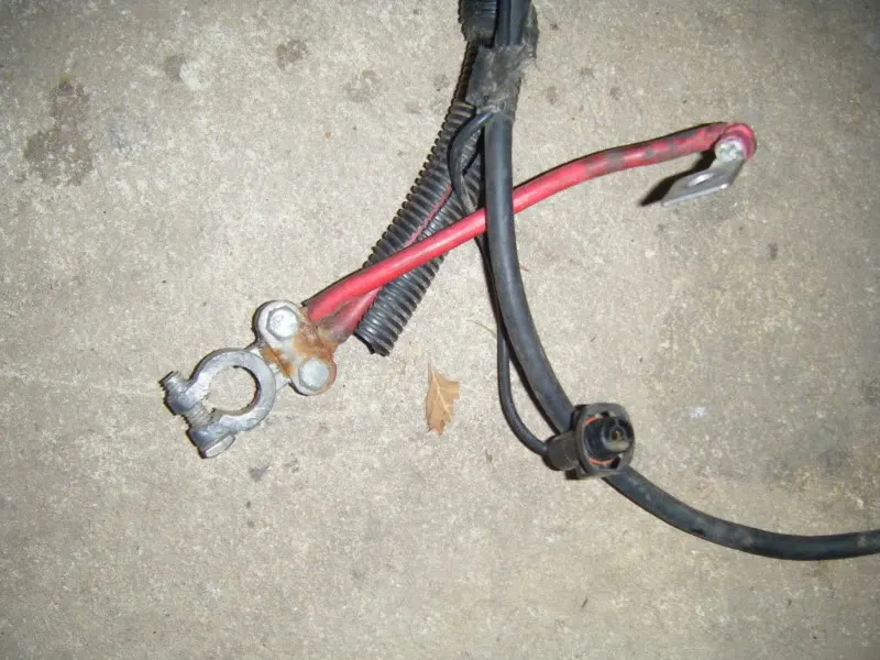 DSCF1098.webp