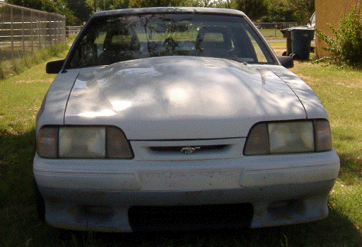 DSCF1123a.gif