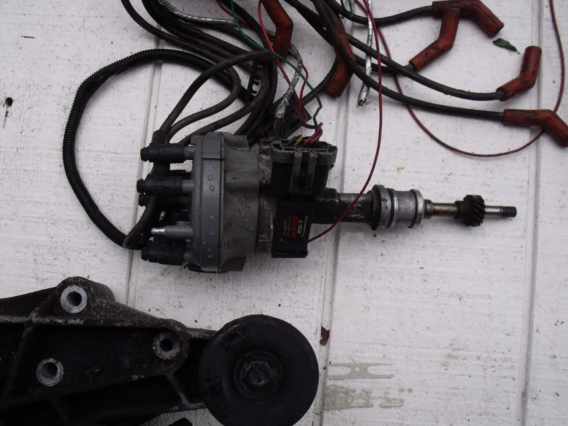 DSCF1159.webp
