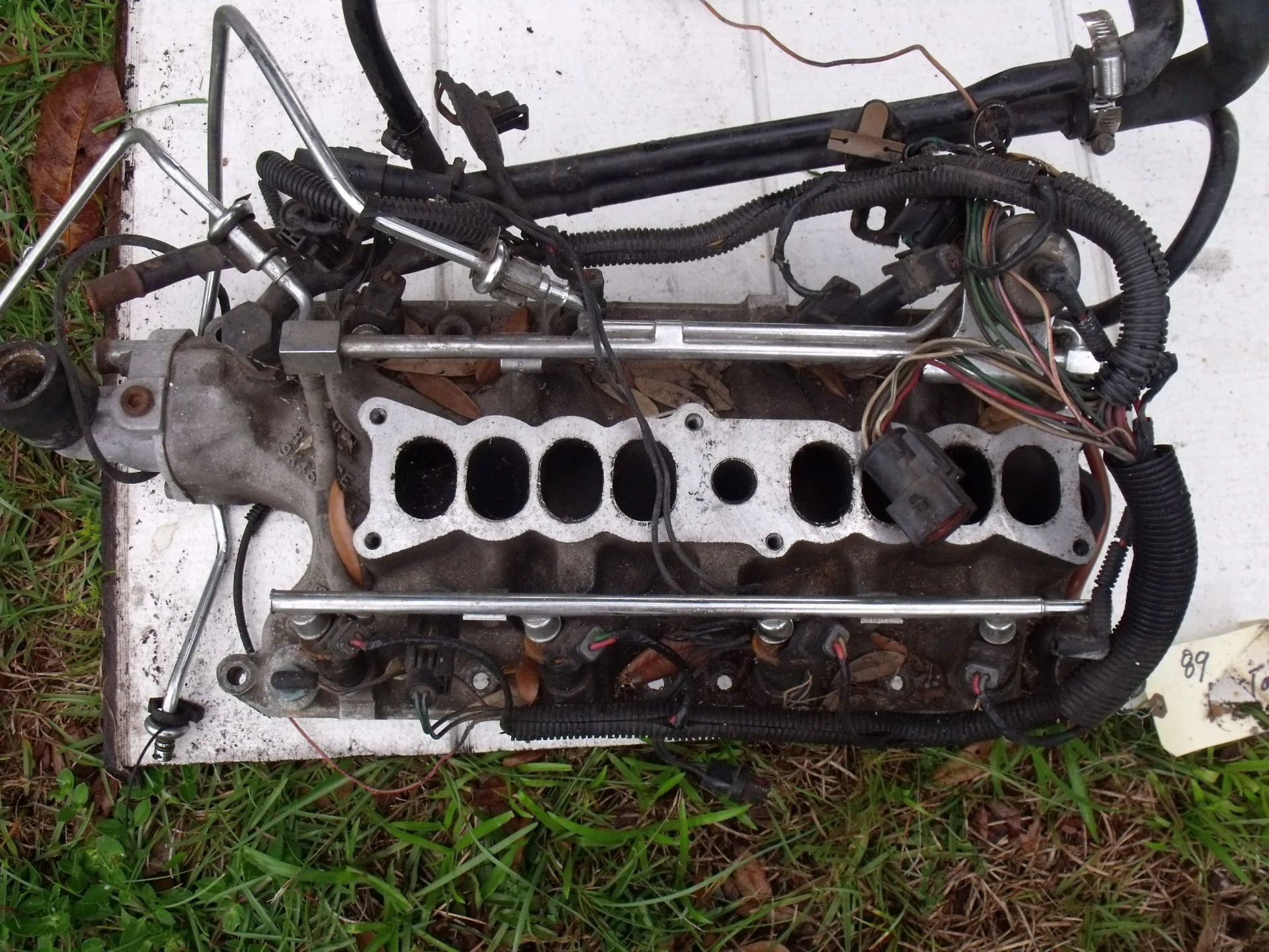 DSCF1162.webp