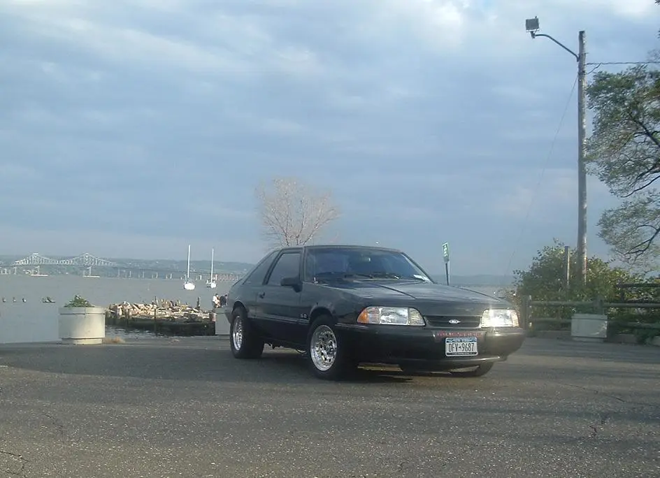 DSCF1174.webp