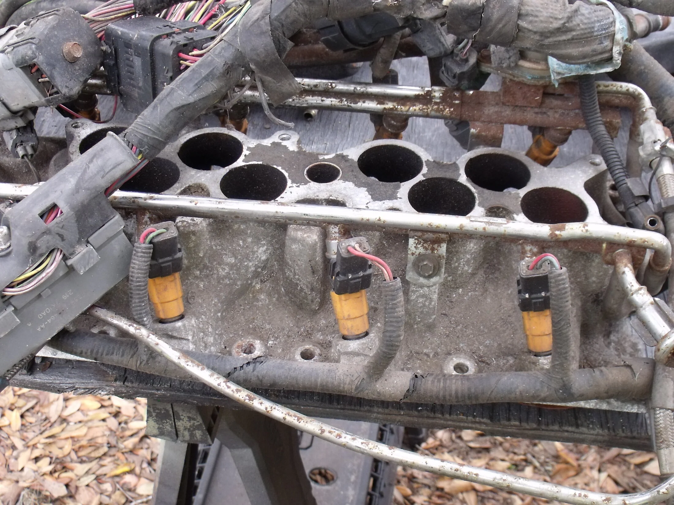 DSCF1224.webp