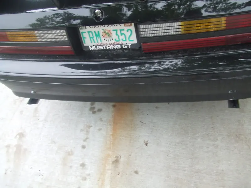 DSCF1228.webp