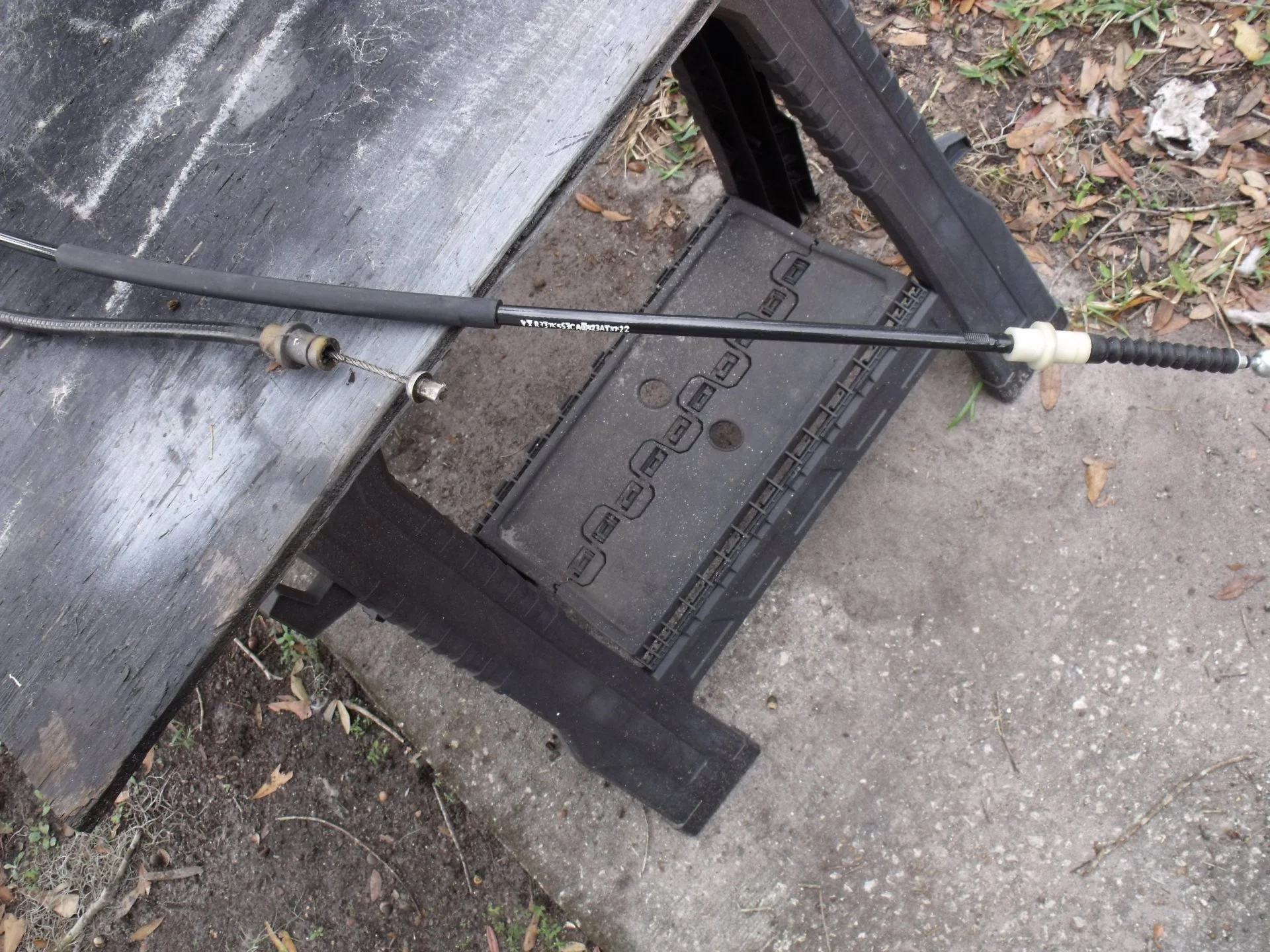 DSCF1236.webp