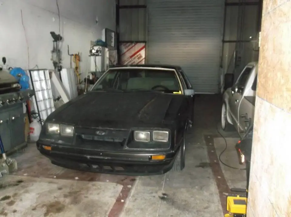 DSCF1238_zps1a2bf71b.webp