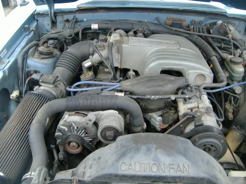 DSCF1253.webp