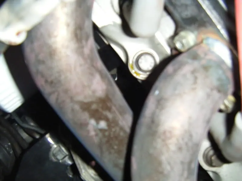 DSCF1263.webp