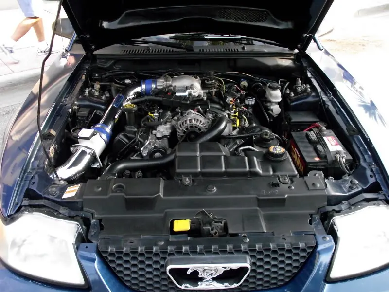 DSCF1268.webp