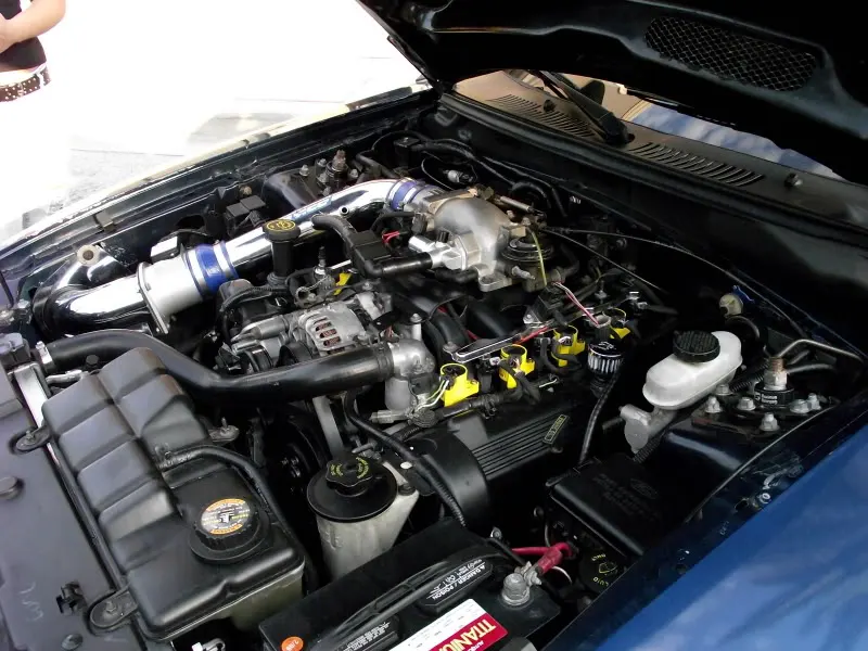 DSCF1274.webp
