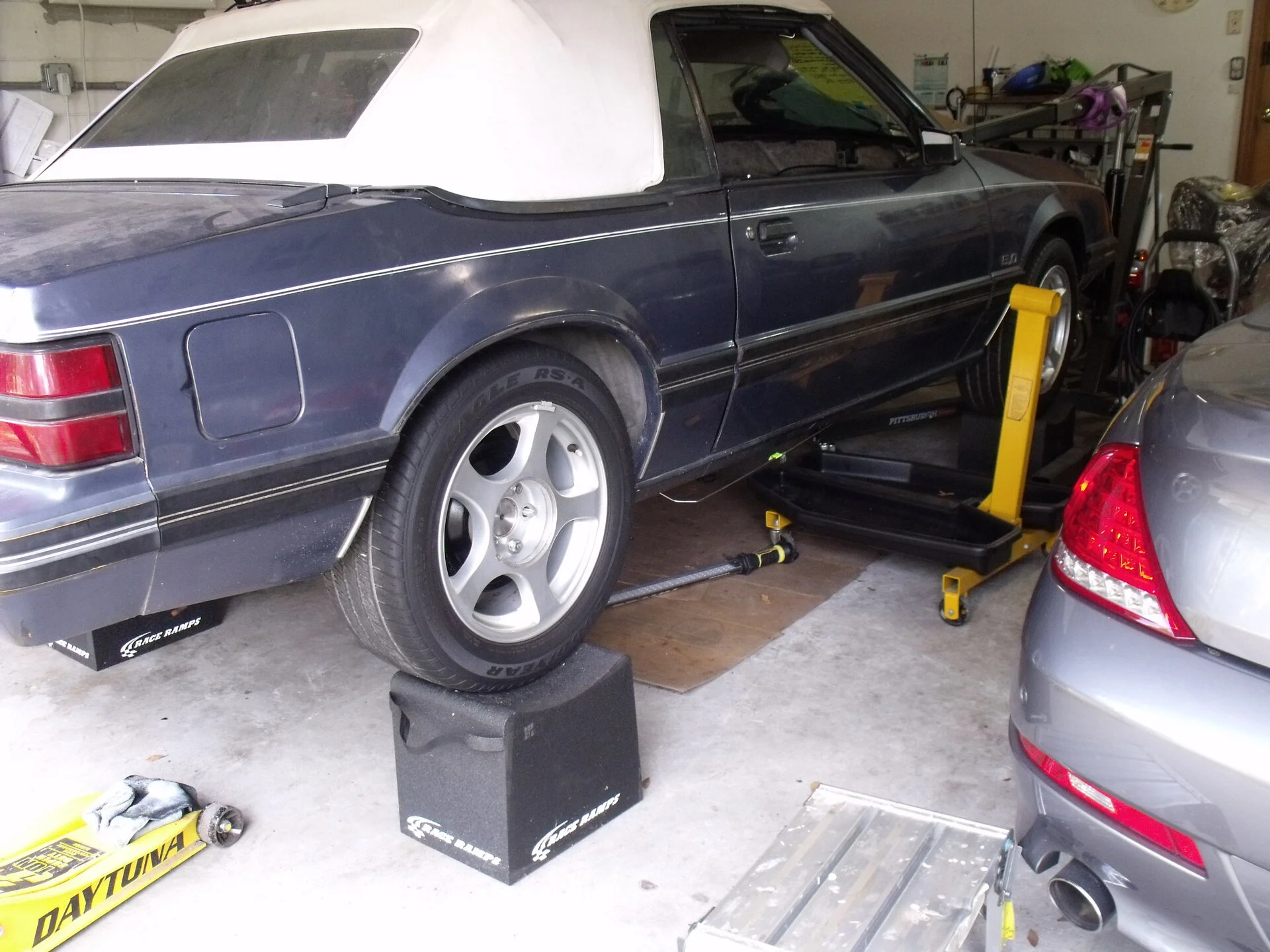 DSCF1288.JPG