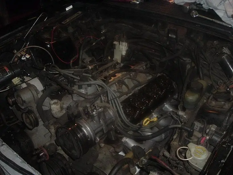 DSCF1301-1.webp