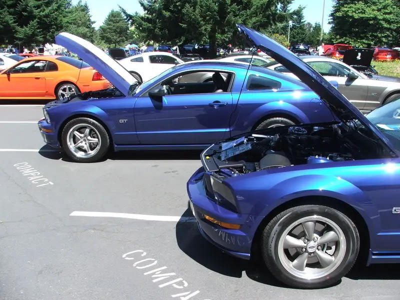 DSCF1312.webp