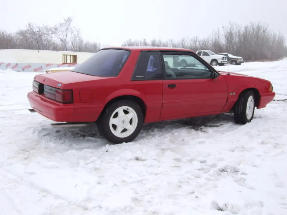 DSCF1387.webp