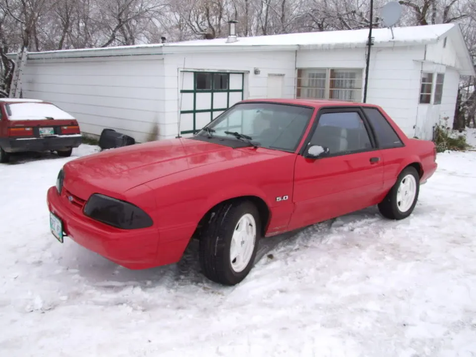 DSCF1388.webp