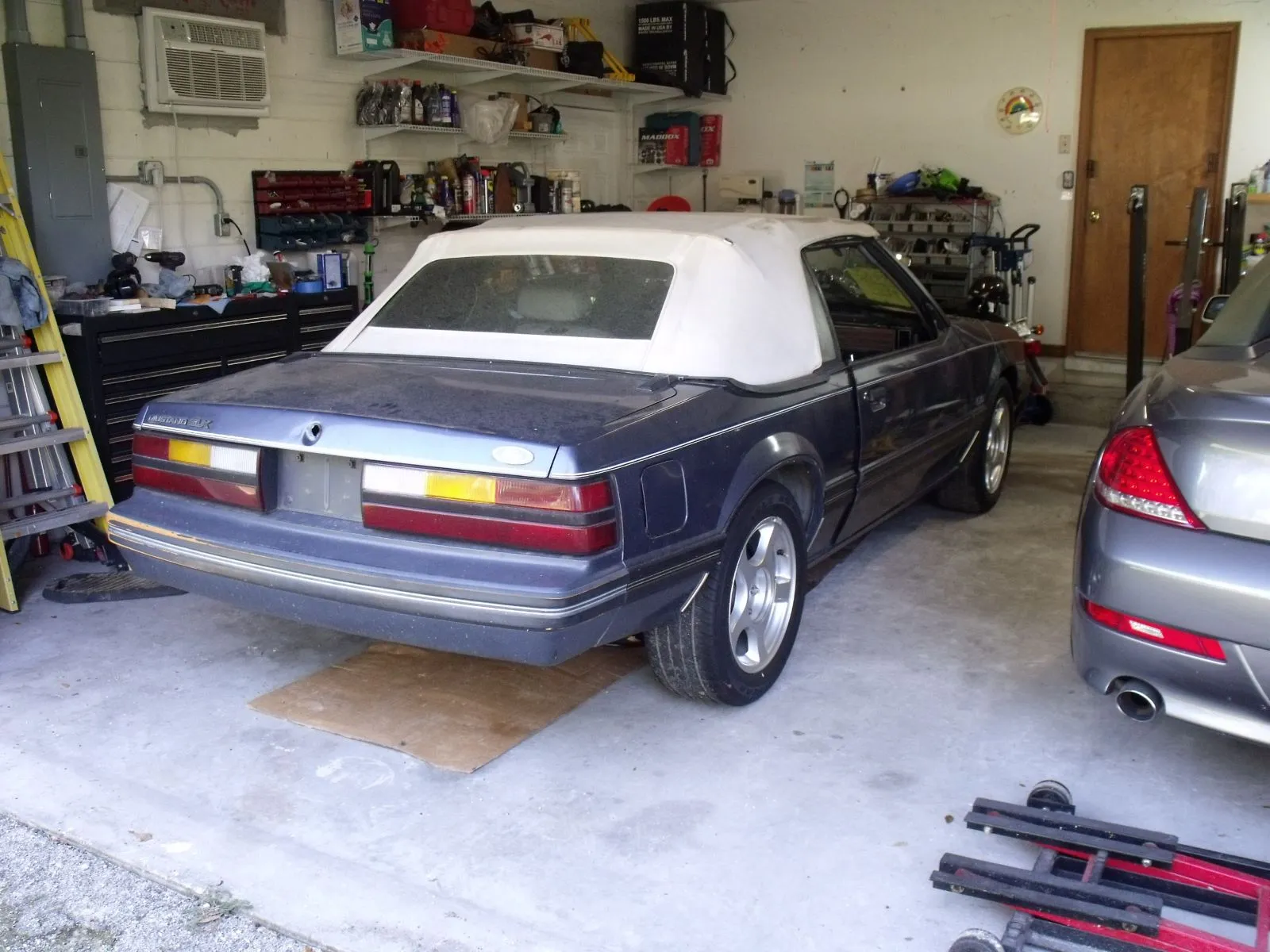 DSCF1396.webp