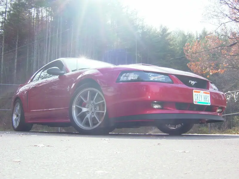 DSCF1419.webp