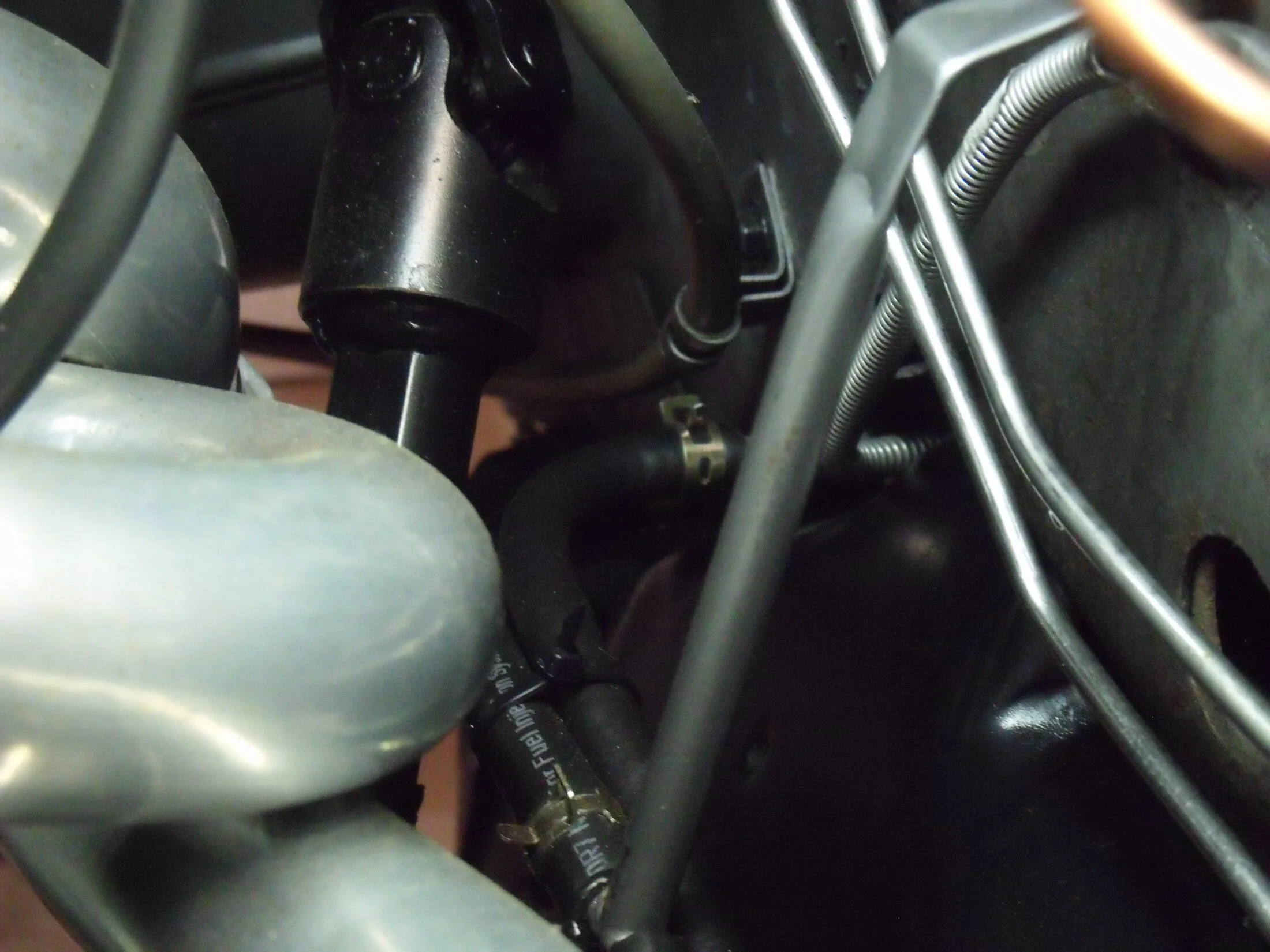 DSCF1429.webp