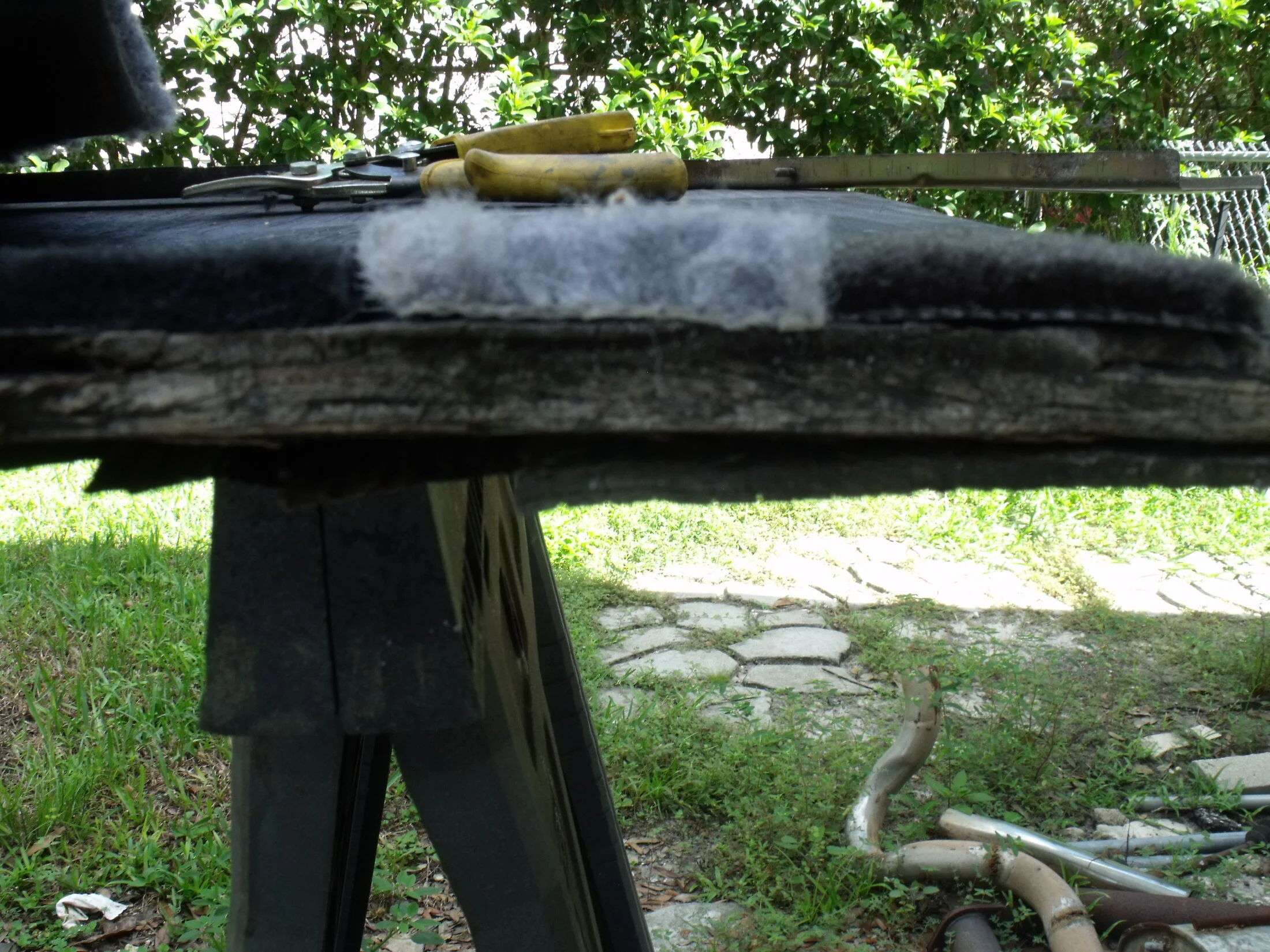 DSCF1521.webp