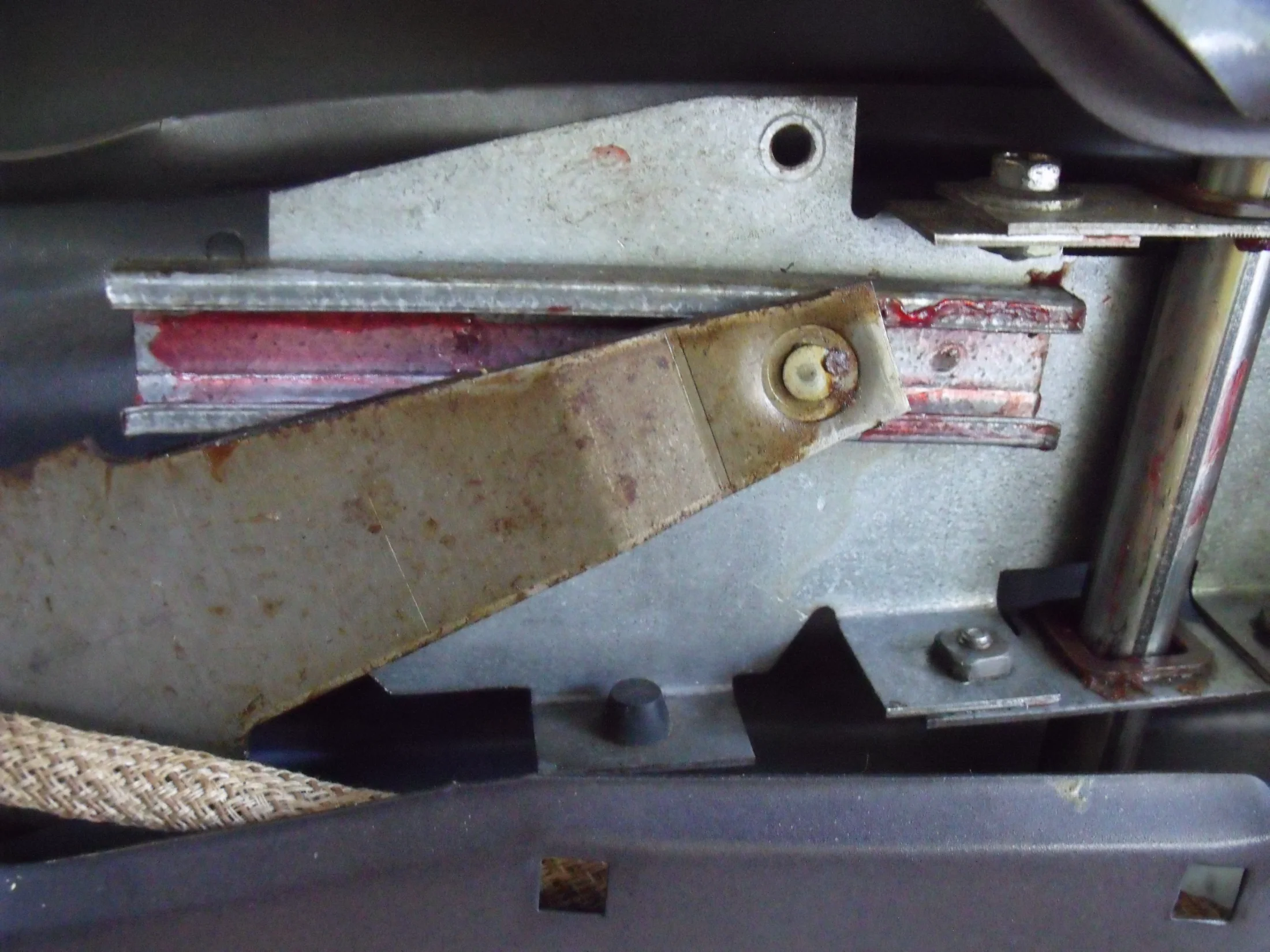 DSCF1541.webp