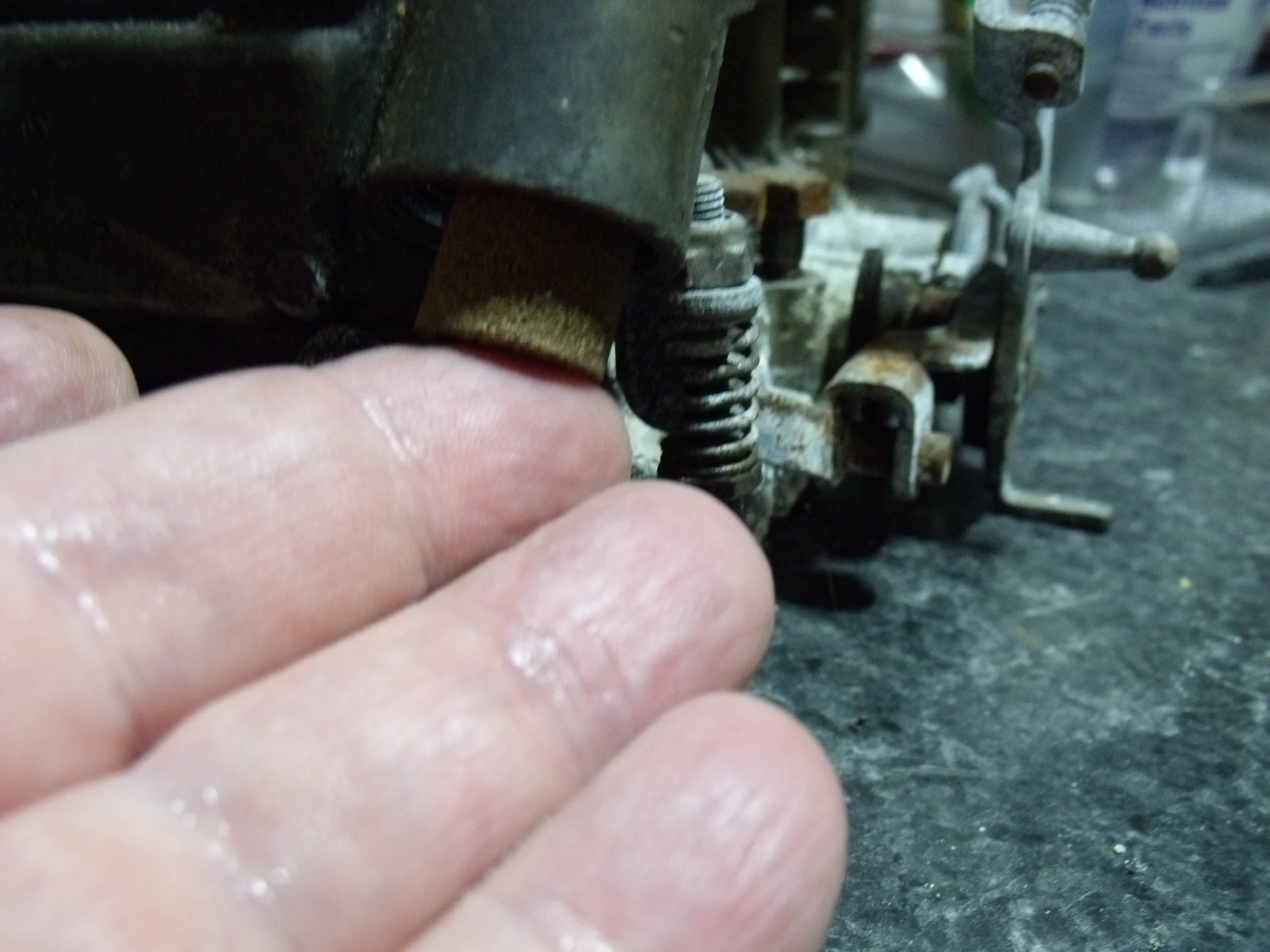 DSCF1575.webp