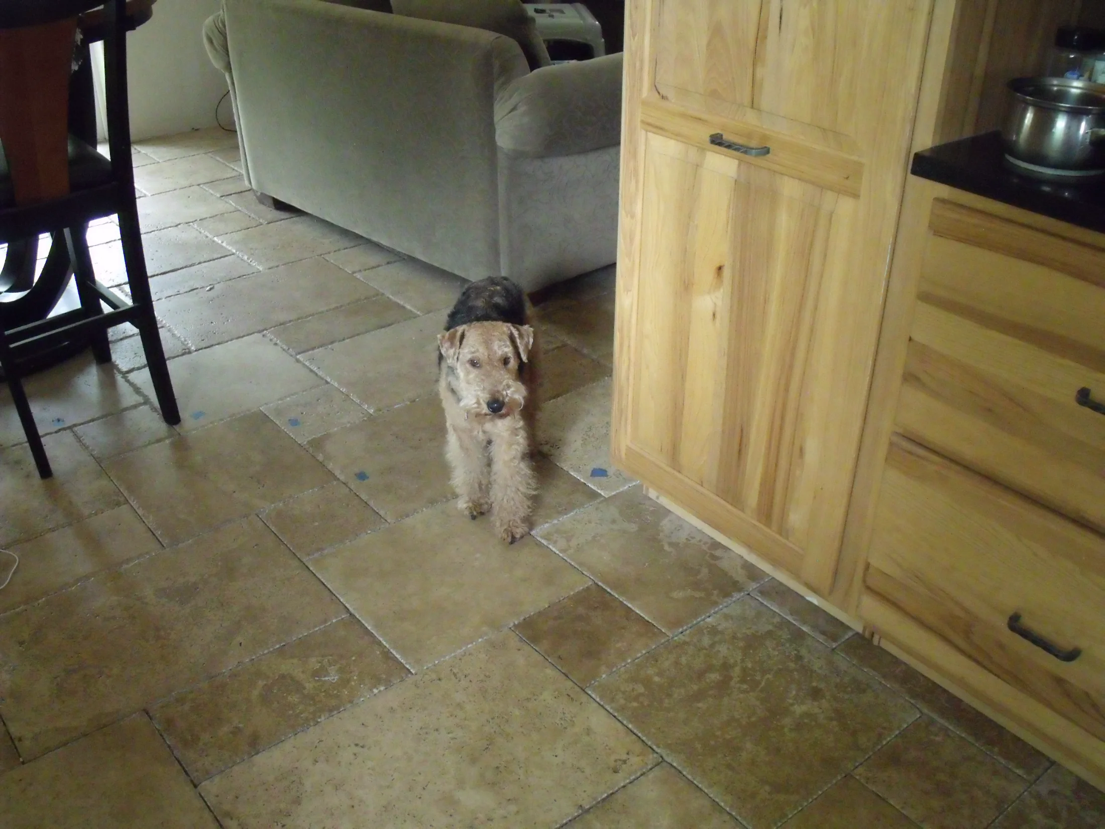 DSCF1585.webp