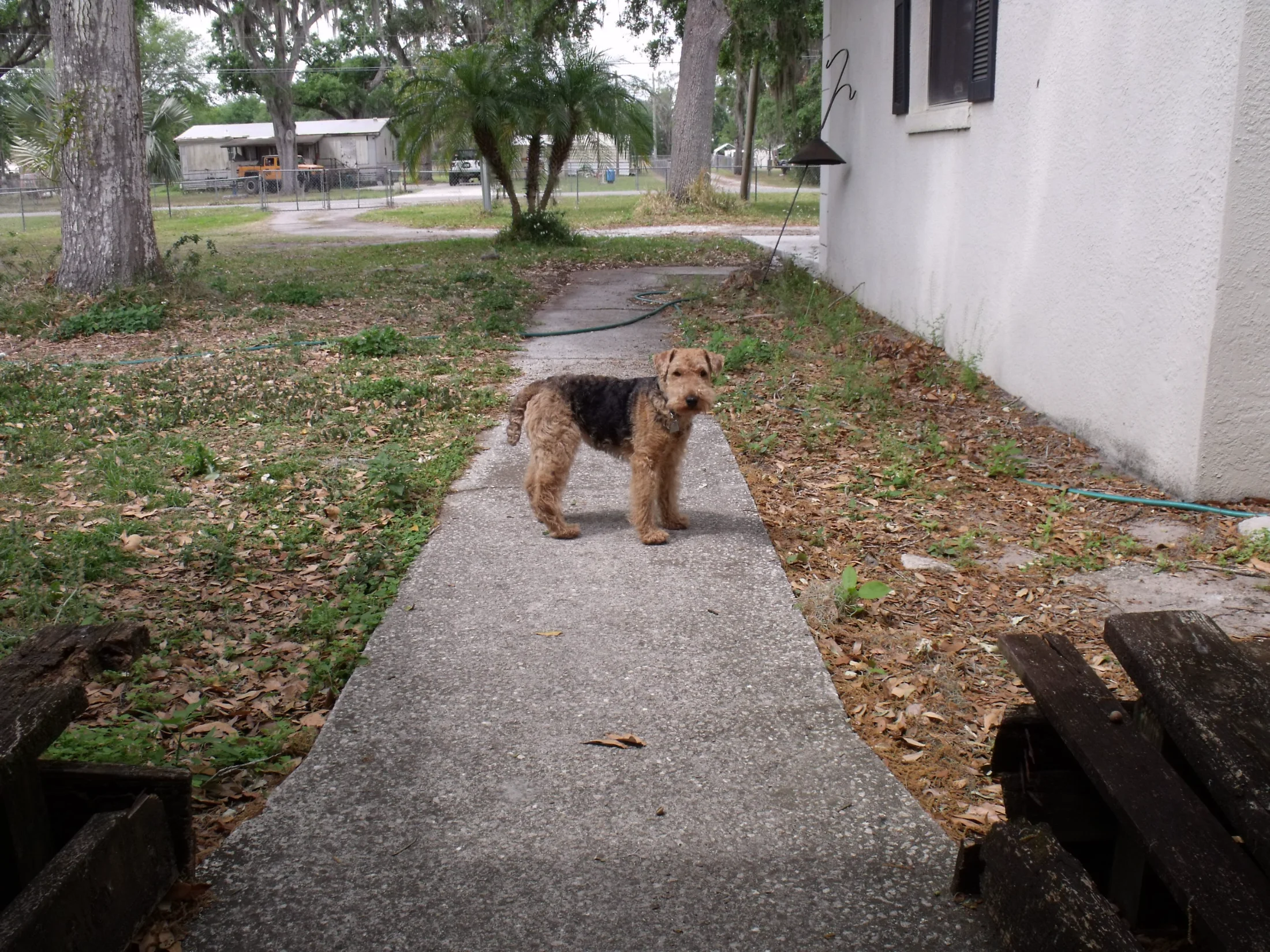 DSCF1586.webp