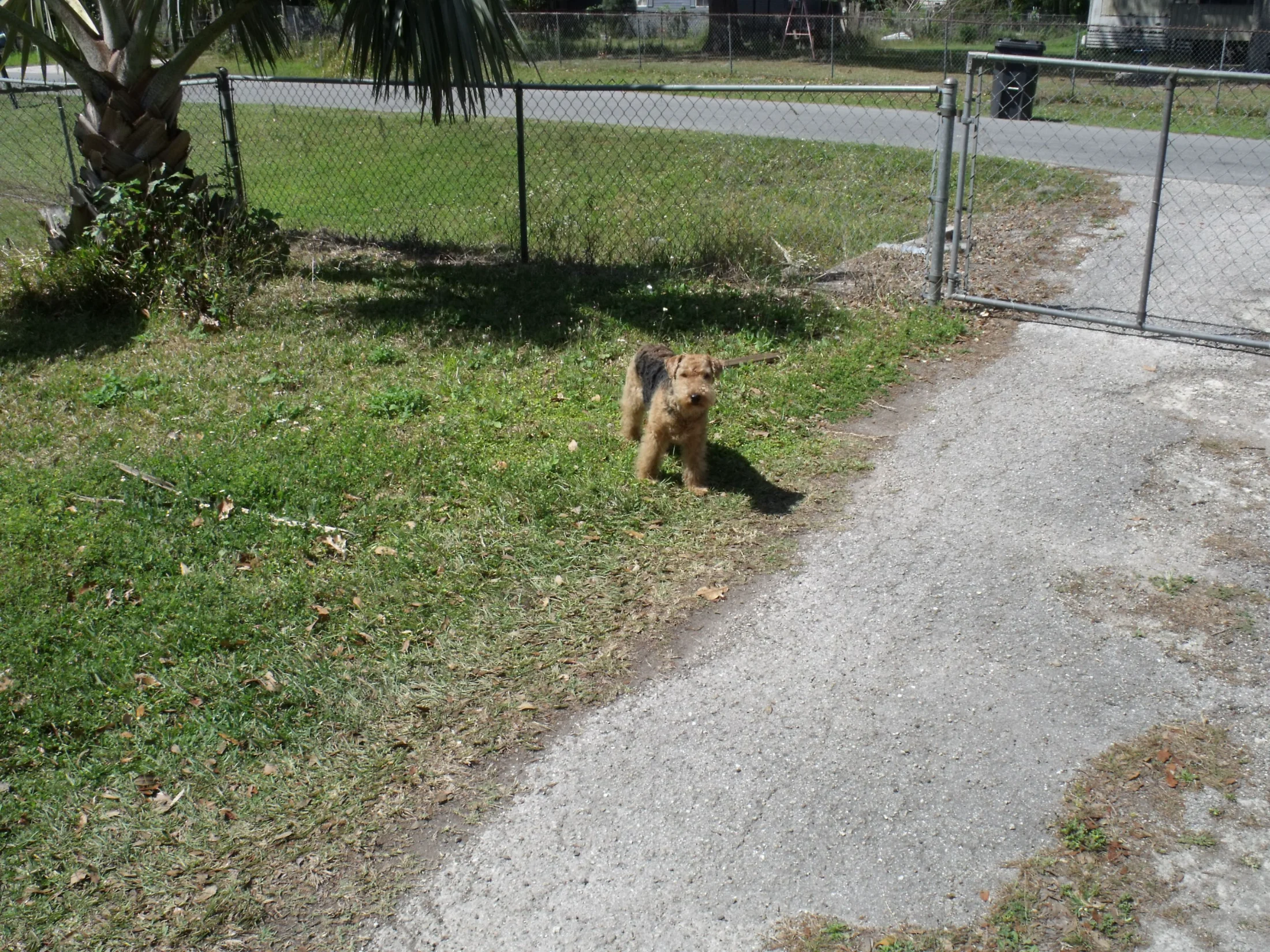 DSCF1594.webp