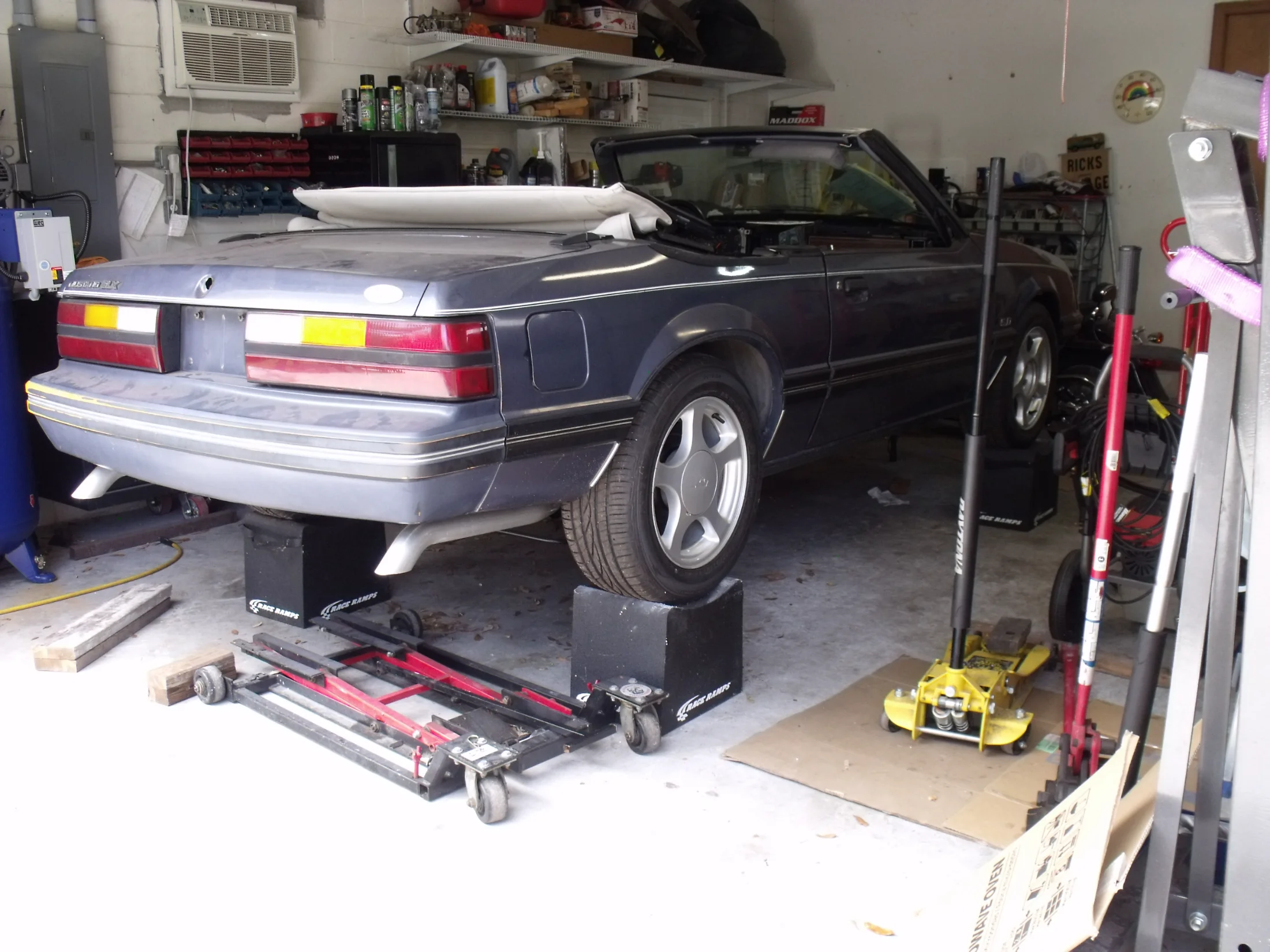 DSCF1633.webp