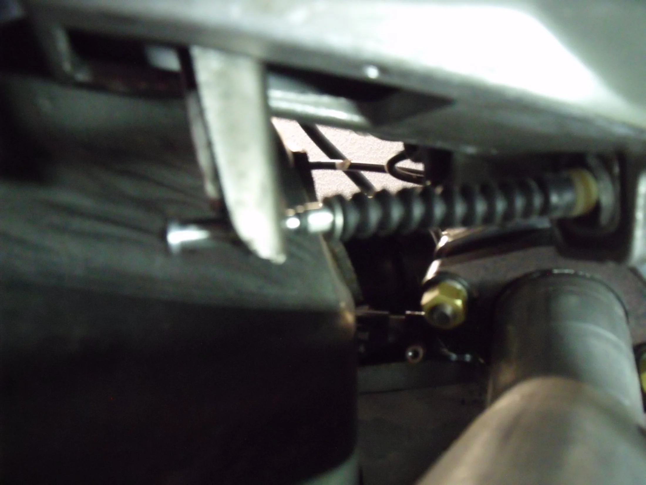 DSCF1638.webp