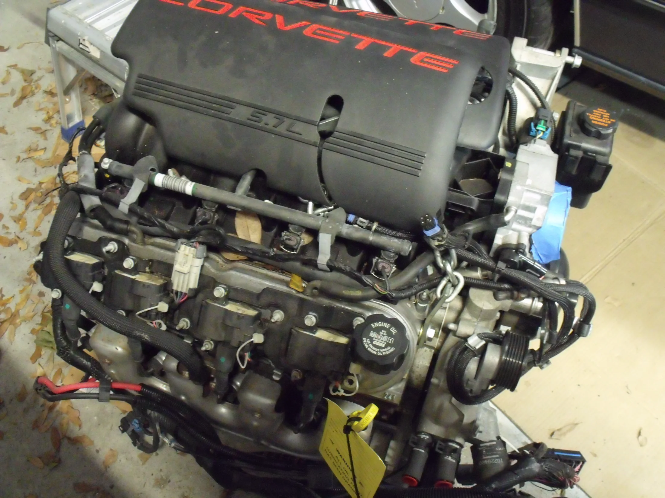 DSCF1654.webp