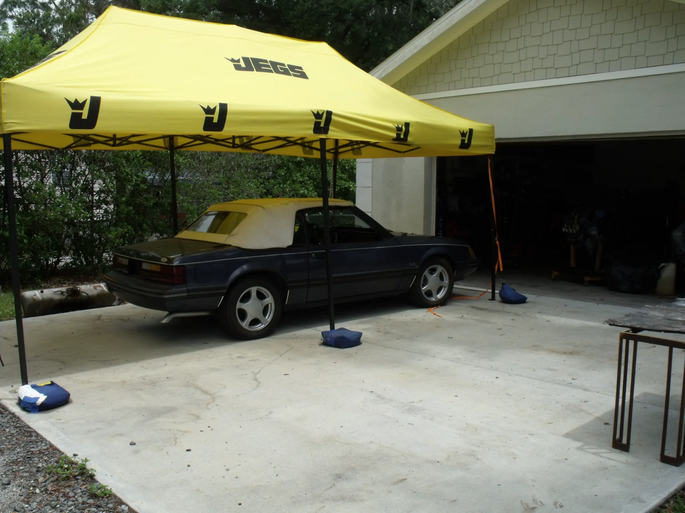DSCF1706.webp