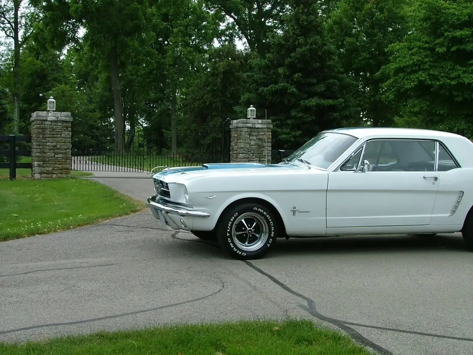 DSCF1764.webp