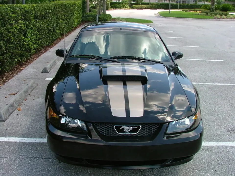 DSCF2168.webp